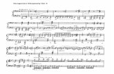 IMSLP00375-Liszt - Hungarian Rhapsody 03