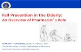 HP_Fall Prevention in the Elderly 26May2011