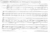 Andante Et Allegro Piano