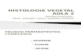 Histologia Vegetal Aula 2_20130411150806