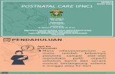 Postnatal Care (Pnc)