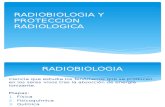 Radiobiologia y Proteccion Radiologica