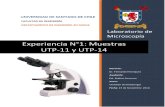 Laboratorio1 M2 UTP14-UTP11 Streinesberger Christian