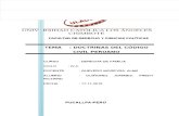 Monografia Doctrinas Del Código Civil Peruano Seccion Tercera