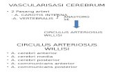 1. Vaskularisasi Cerebrum