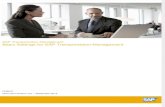 Basic Settings of SAP TM form SAP