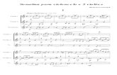 Sonatina Gnattali 11 - Score.pdf