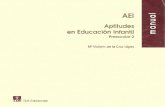 01. Manual AEI.pdf