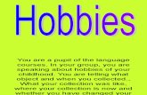 356 Hobbies