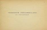 Perdrizet- Negotiumperambulans in tenebris.pdf