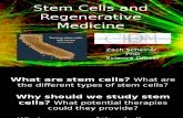 Stem Cell Day Talk Without Videos Zs