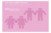 2013 Lgbt Demographic Report