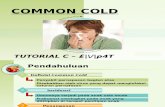 Common Cold AIW