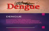 Avanze Del Dengue(2)