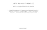 EPIDEMIO POSTGRADO MAESTRIA .pdf