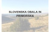 Herbarij - Slovenska obala in Primorska