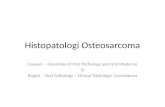Histopatologi Osteosarcoma