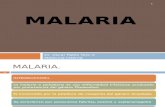 malaria-4ppt-100201182643-phpapp01 (1)