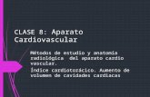 Diagnóstico Por Imagen - Aparato Cardiovascular