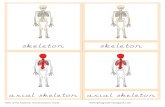 Parts of the Skeleton Nomenclature Cards Copy
