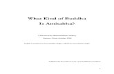 What Kind of Buddha is Amitabha