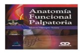Anatoma Funcional Palpatoria
