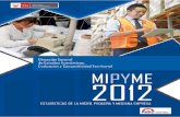 1.3.mype-Ministerio de Produccion-2012[1].pdf