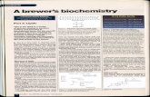 A Brewer's Biochemistry - part III