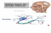 2 Generalidades de Sistema nervioso