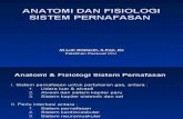ANATOMI DAN FISIOLOGI SISTEM PERNAFASAN, 2007.ppt