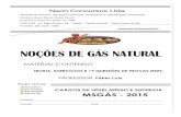 Noções sobre Gás Natural.docx
