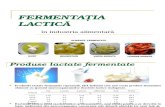 7_Fermentatia lactica (1).ppt