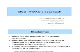 CICO: AWAG's approach