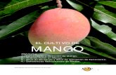 El Cultivo de Mango