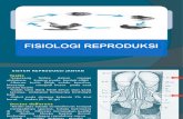 4.Fisiologi Dan Reproduksi
