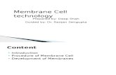 Membrane Cell technology