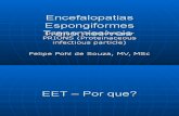 EET -Encefalopatias Espongiformes Bovinas