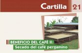 Beneficio Del Cafe 2