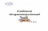 Apunte Cultura Organizacional JVz