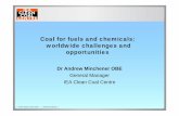 Coal for Fuels and Chemicals
