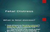 gynec and obs. topic fetal distress