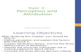 Perception (Organization Behavior)