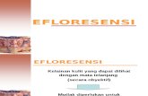 Efloresensi Part 1