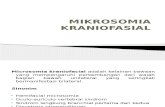 MIKROSOMIA KRANIOFASIAL fix.pptx