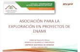 6 - Asociación Exploración Proyectos ENAMI - T. Neira - Enami