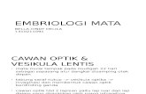 Anatomi Embiologi Case 5&6