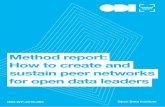 Method report: peer networks for open data leaders