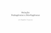 Relação Entre Pedogênese e Morfofogênese - LABOGEF (UFG)