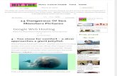 Articles - 14 dangerous of sea monsters pictures - Hit the News1.pdf