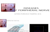 Peripheral Nerve Diseases (1)
